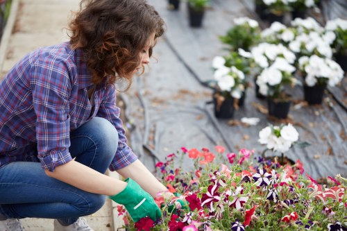 Keyboard navigation and accessible controls for Oakleigh Park gardening pages