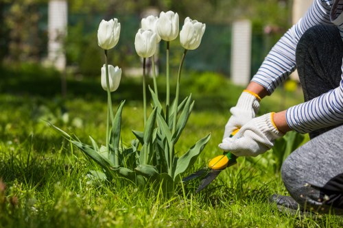 Garden maintenance in Oakleigh Park with neatly trimmed lawns and borders