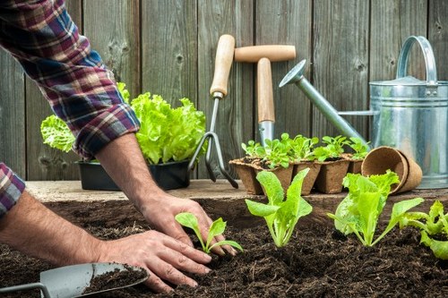 Seasonal lawn maintenance for Oakleigh Park homes