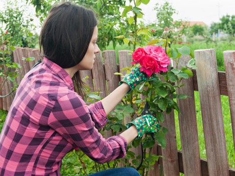 Professional garden care in Oakleigh Park during seasonal upkeep