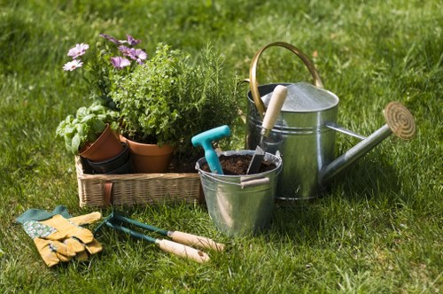 Tidy front garden hedge maintenance