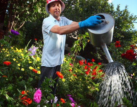 Planting scheme for landscape gardening in Oakleigh Park with shrubs and grasses