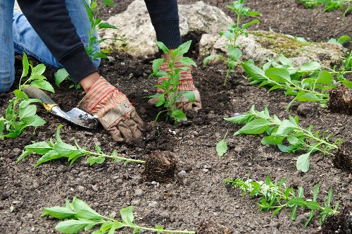Local transfer station handling garden waste and reusable materials