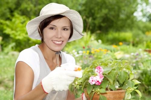 Seasonal grass cutting for a healthy Oakleigh Park lawn