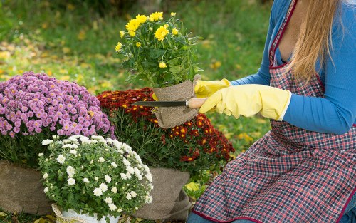 Accessibility review for Gardeners Oakleigh Park service information