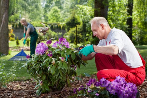 Image of a garden service manager assessing a complaint outcome