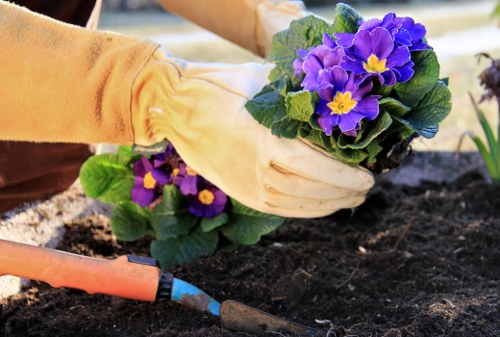 Professional garden maintenance work in an Oakleigh Park outdoor space