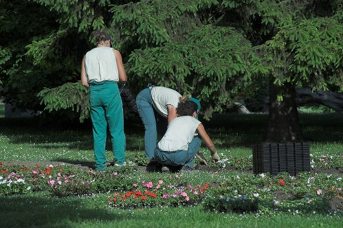 Free quote assessment for garden maintenance at an Oakleigh Park home