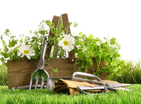 Professional garden clearance work in a residential Oakleigh Park garden