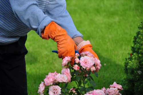 Site organisation and safe working practices for gardening teams