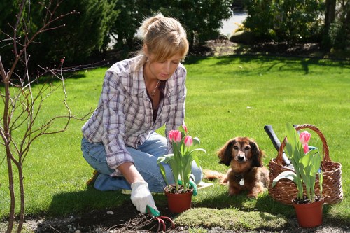Supplier audit and compliance check for garden services