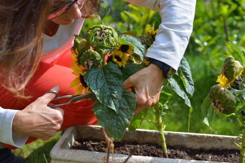 Oakleigh Park garden maintenance with healthy lawn and planting