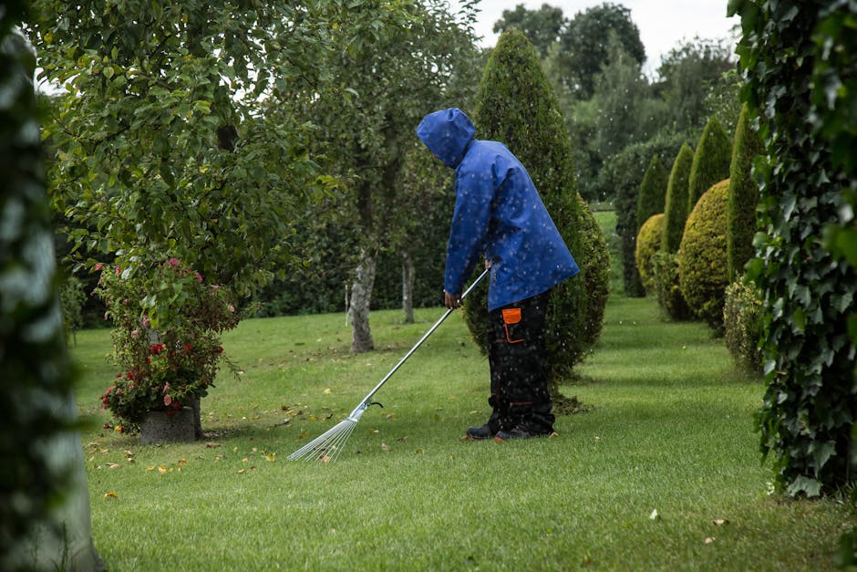 A person wearing a blue raincoat with a hood, black trousers, and dark shoes is engaged in garden maintenance in a well-manicured garden. They are holding a metal rake, raking wet leaves or grass clip