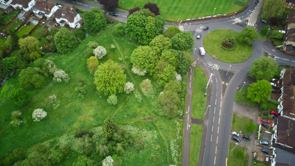 An aerial view of a lush, green urban park featuring a variety of trees with dense foliage, some in bloom with white flowers, and grassy areas with well-maintained lawn textures. The park is bordered 